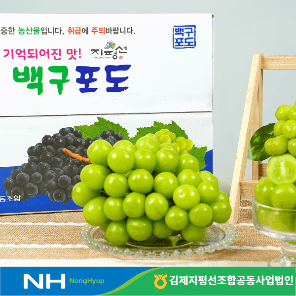 [김제지평선조공] (20Brix) 2026년 백구 샤인머스켓 2kg / 4kg